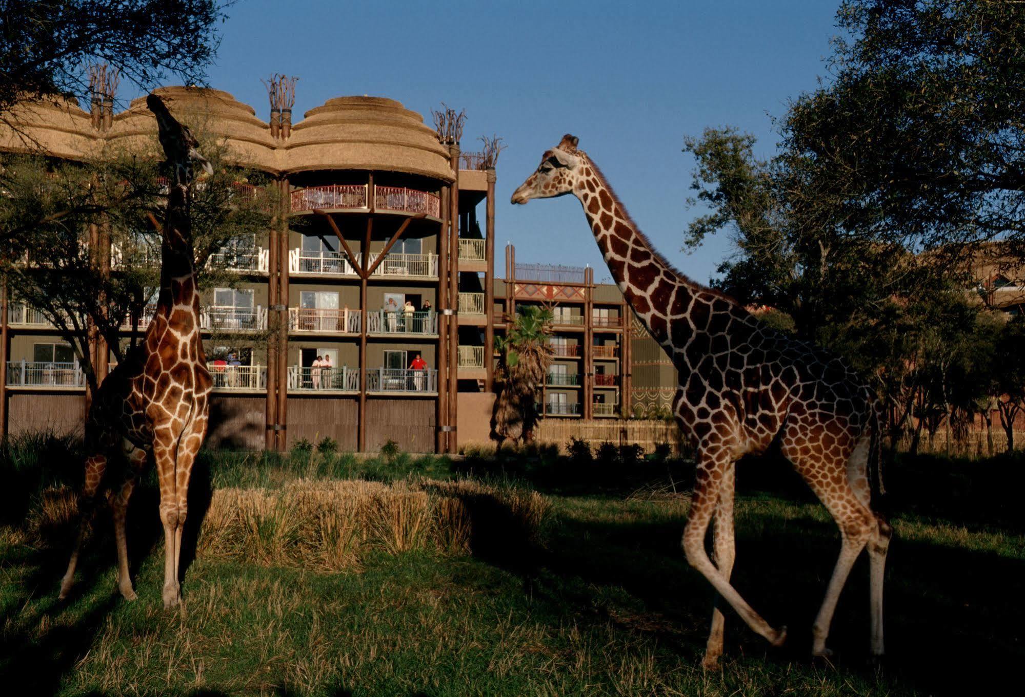 Disney'S Animal Kingdom Villas - Kidani Village Lake Buena Vista Buitenkant foto